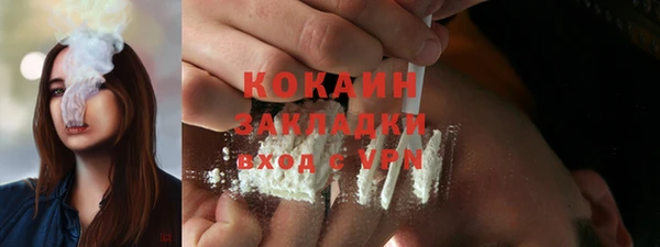 ECSTASY Богданович